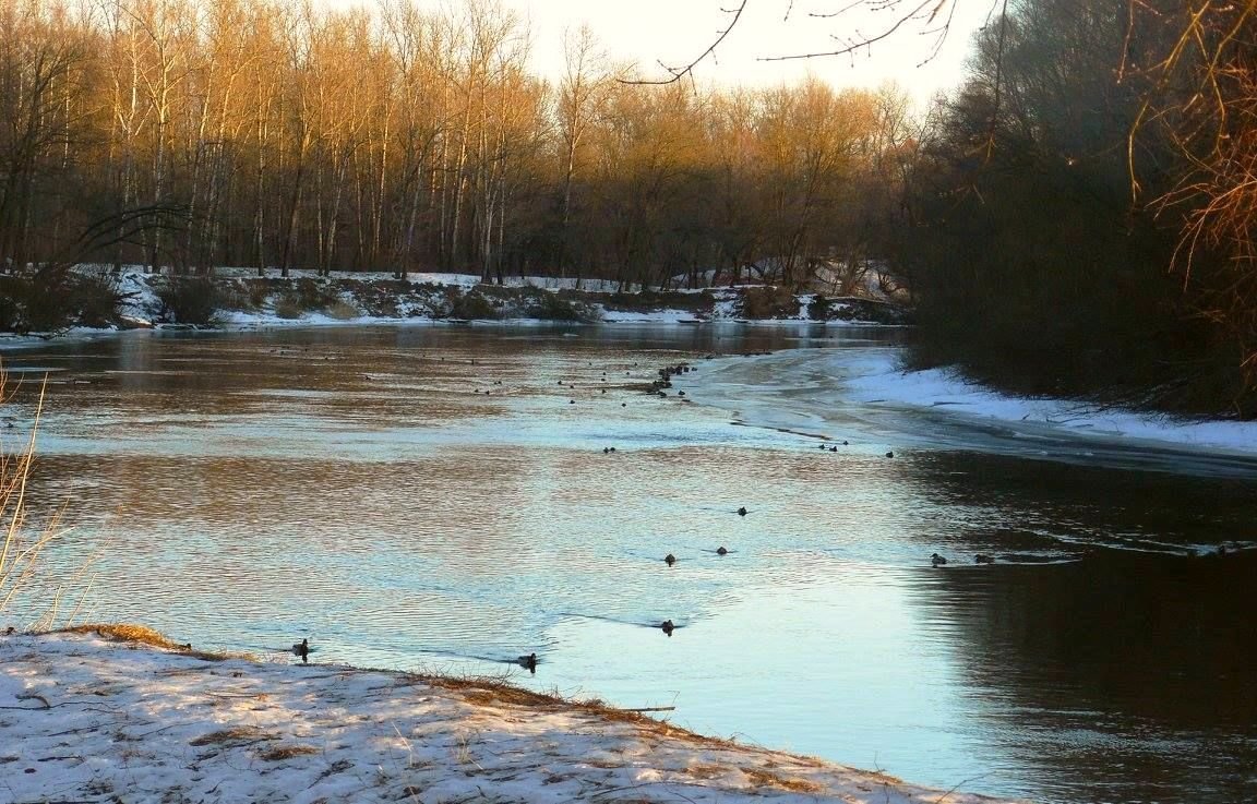 река еще не замерзла - Леонид Натапов