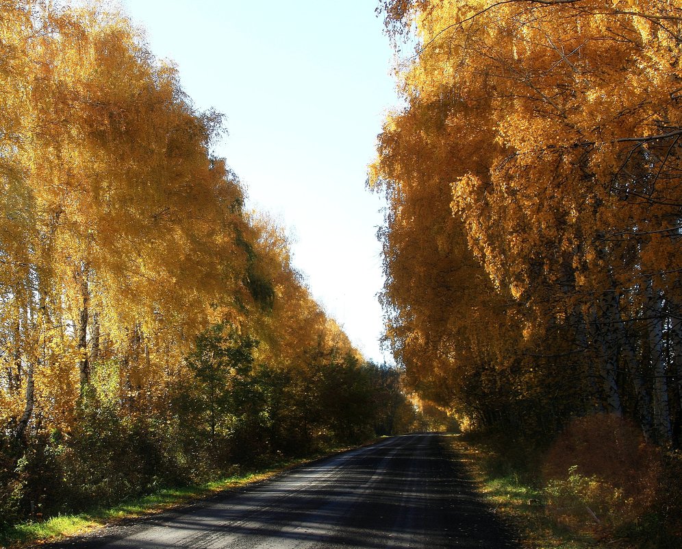 Осенний пейзаж  с  дорогой.... - Валерия  Полещикова 