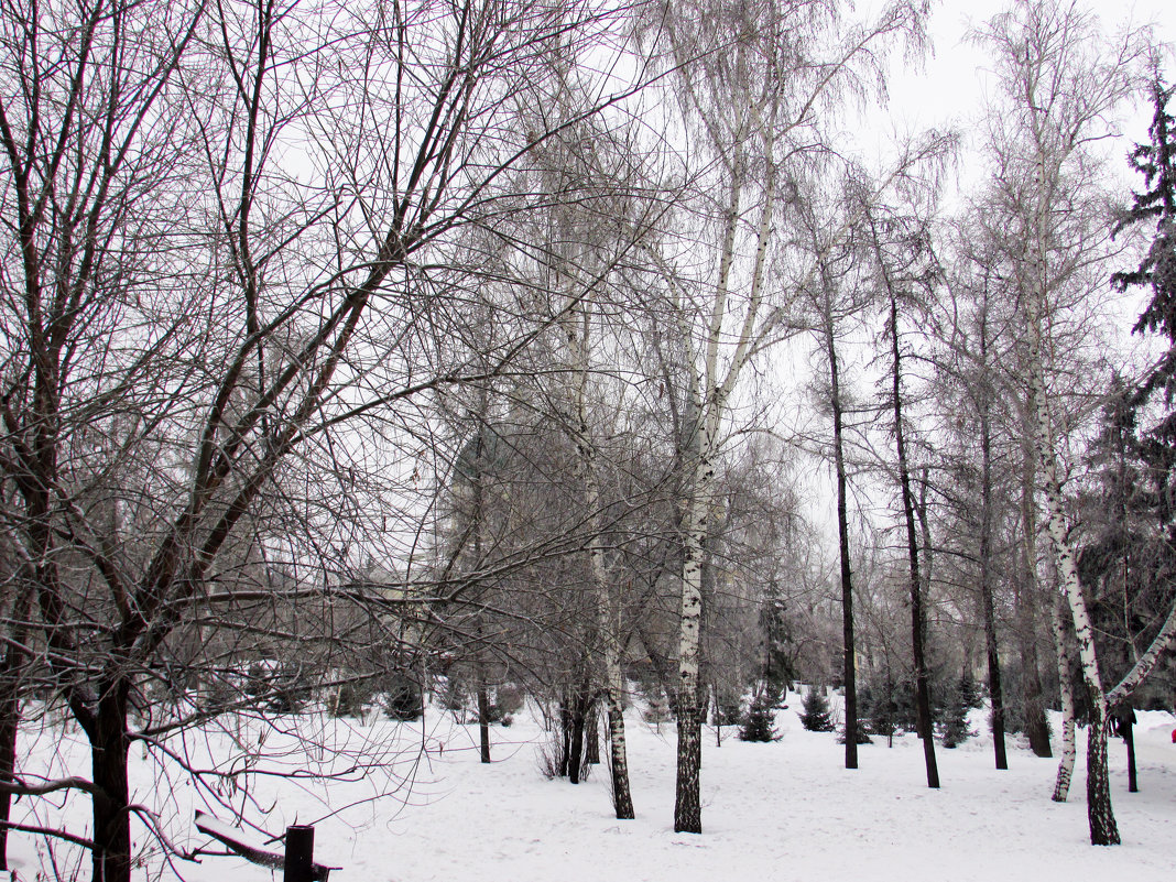 Зима в Сибири - раиса Орловская