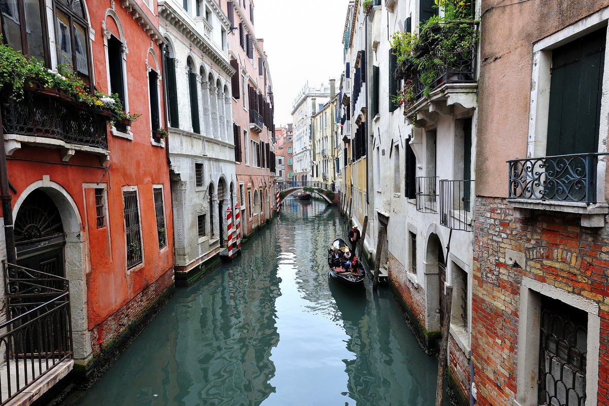 Венеция 2015 - Arximed 