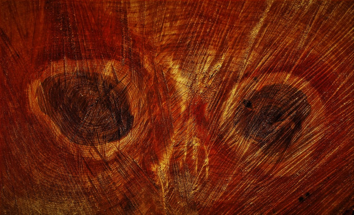 Взгляд из сердца дерева - Сергей Чиняев 