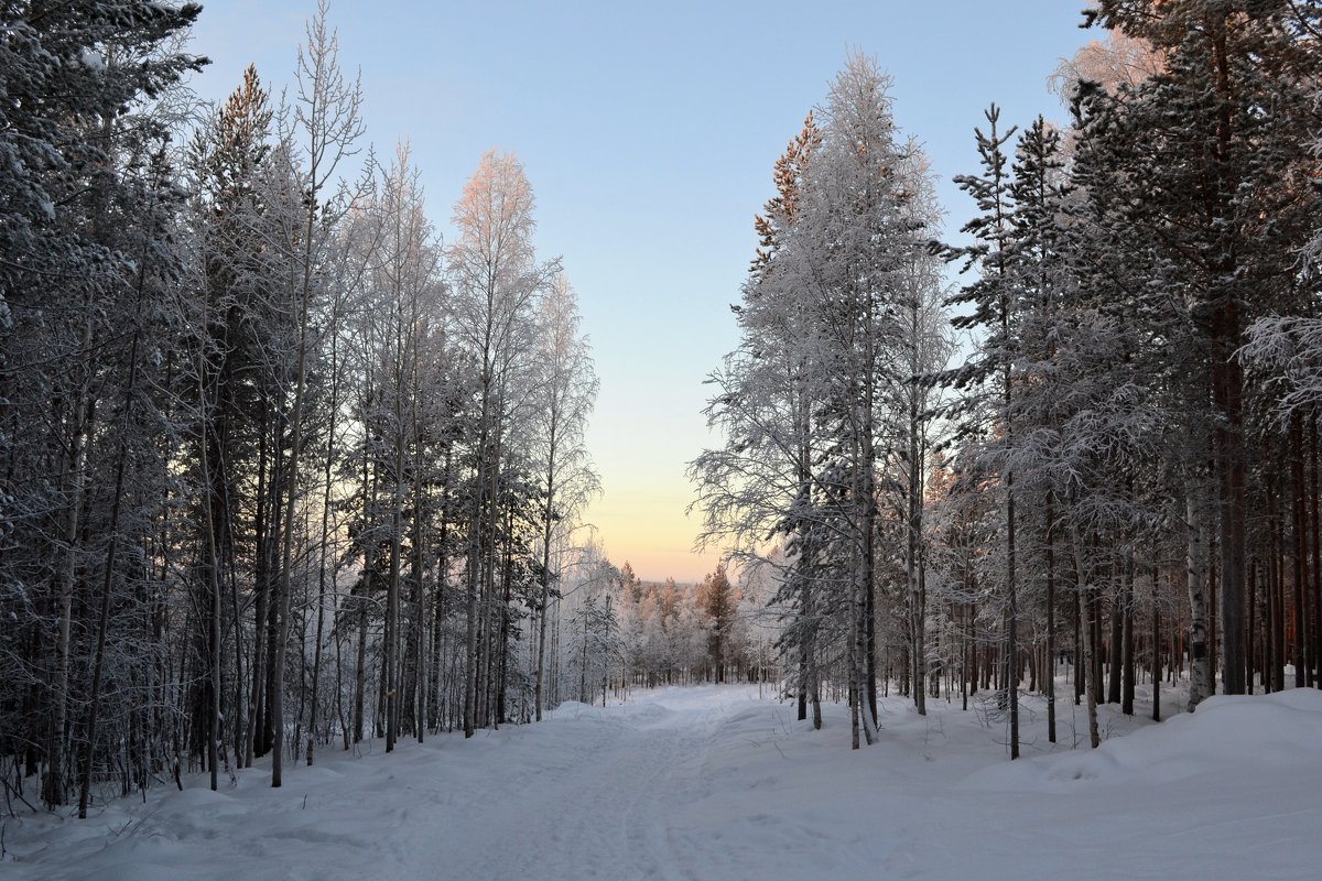 Зимние прогулки - Ольга 