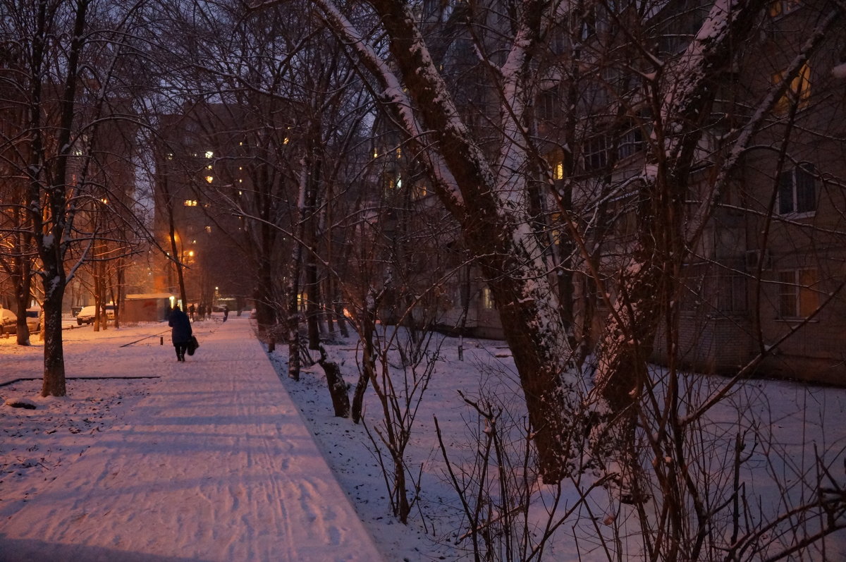 домой по первому вечернему снегу - Olga Grebennikova