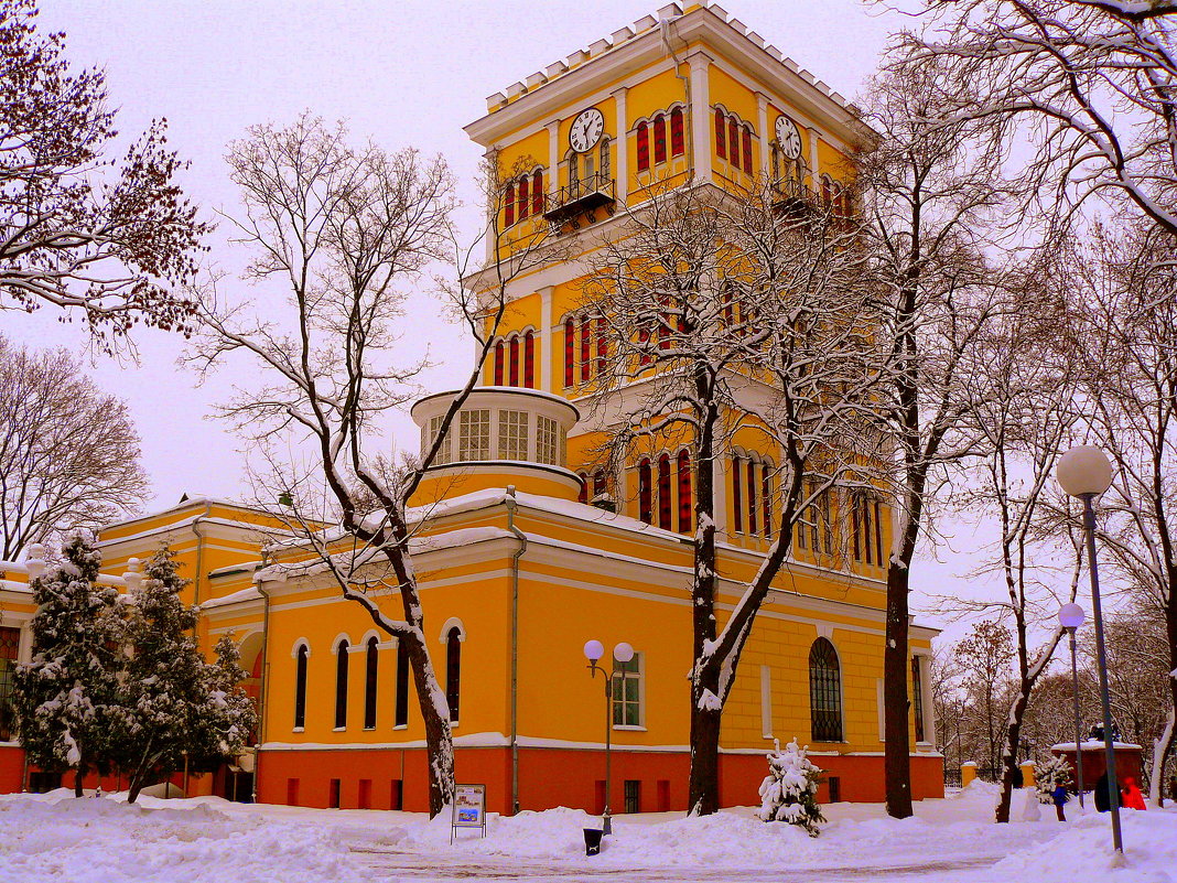 зимняя башня - Александр Прокудин