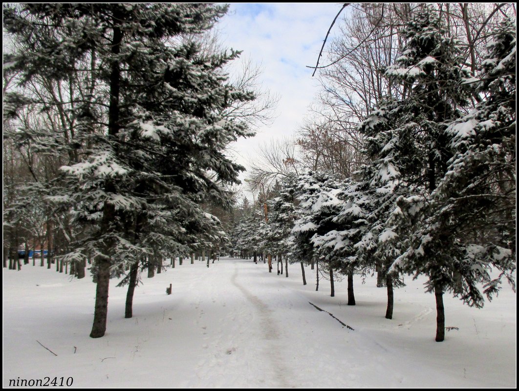 Ростов-на-Дону - Нина Бутко