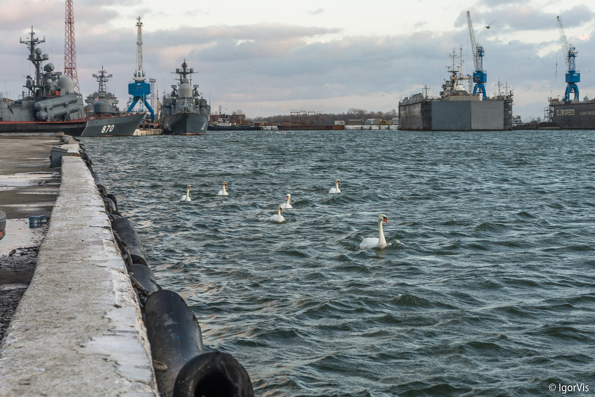 Морской поход боевым порядком - Игорь Вишняков