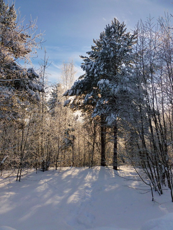 морозно - Светлана 