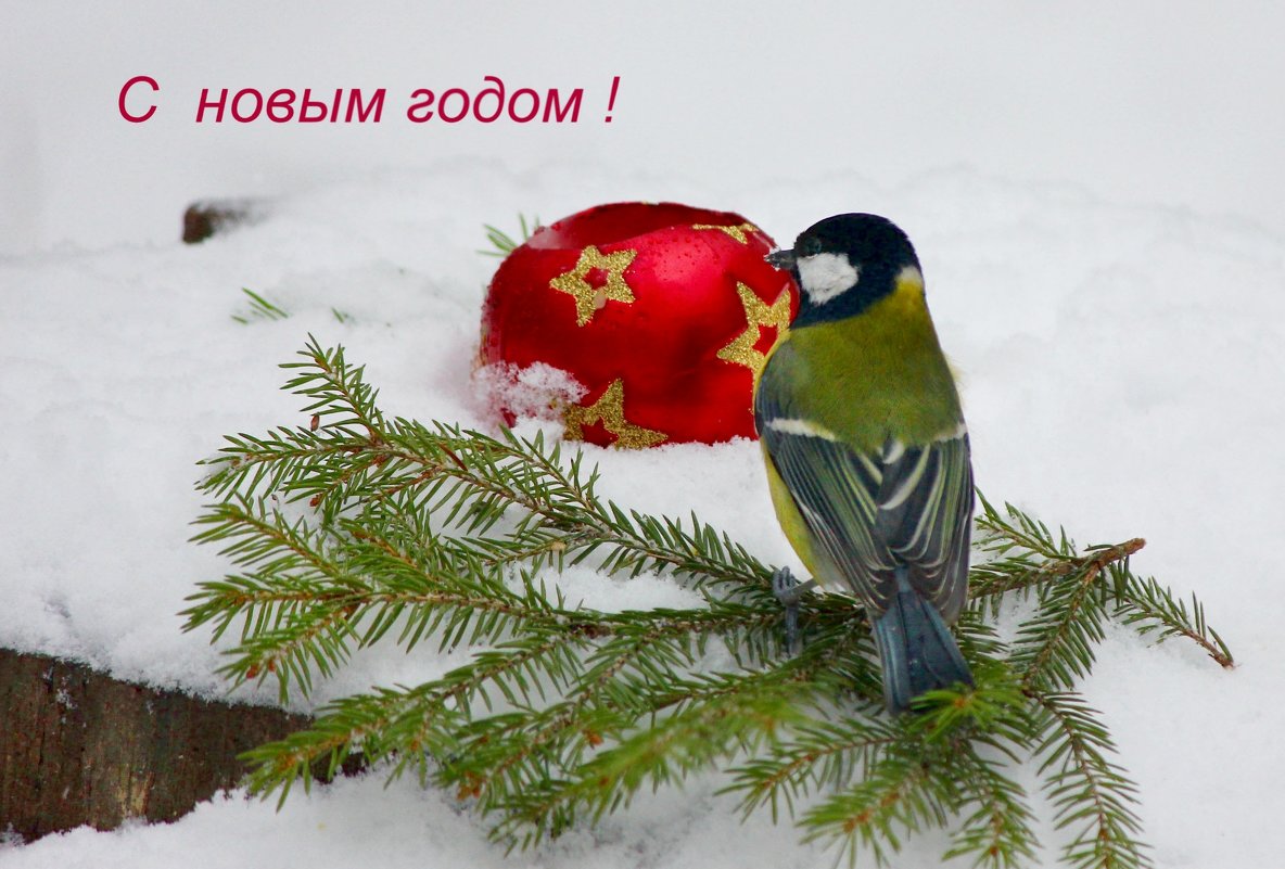 Счастливого Нового года! - Ната Волга