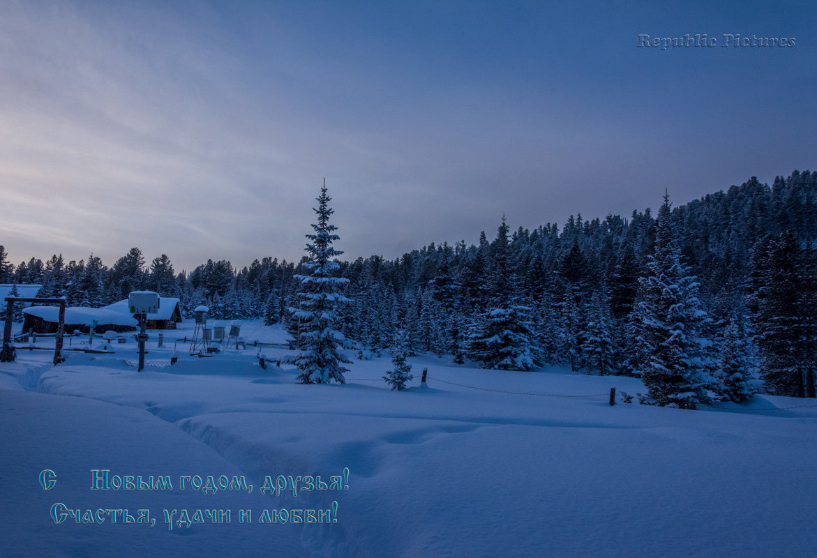 С Новым 2016-м годом, друзья!))) - Ричард Панков