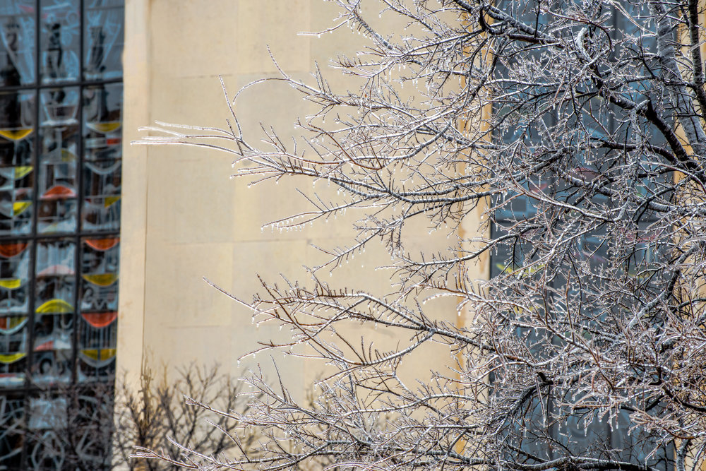 Ледяное дерево перед церковью - MVMarina 