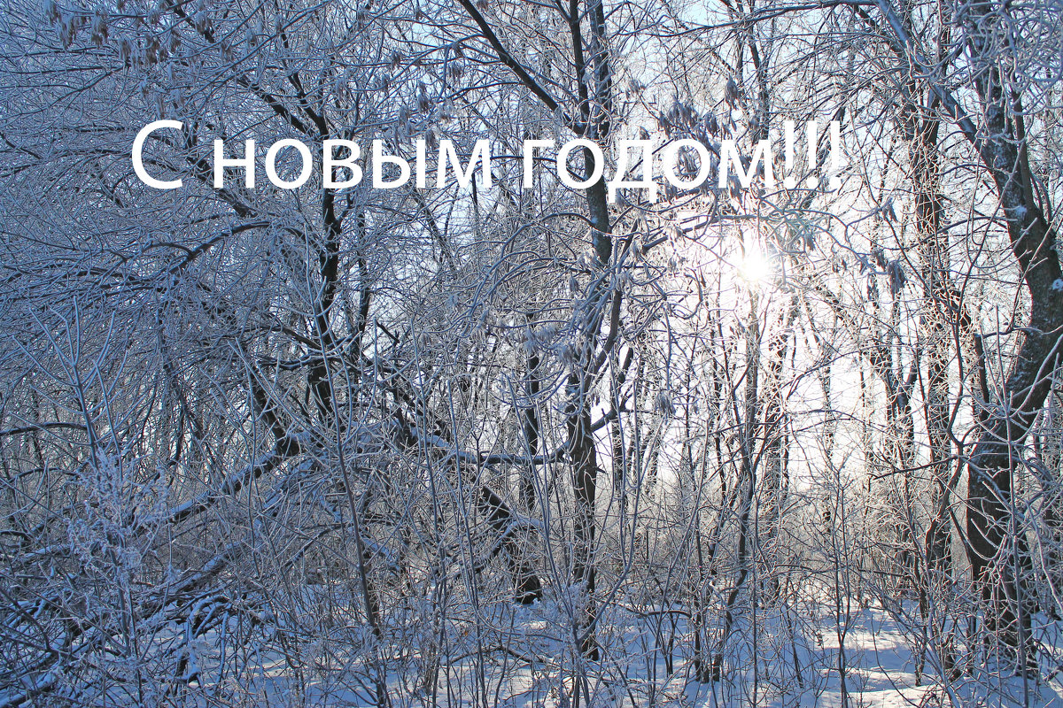 С Новым Годом!!! - Олег 