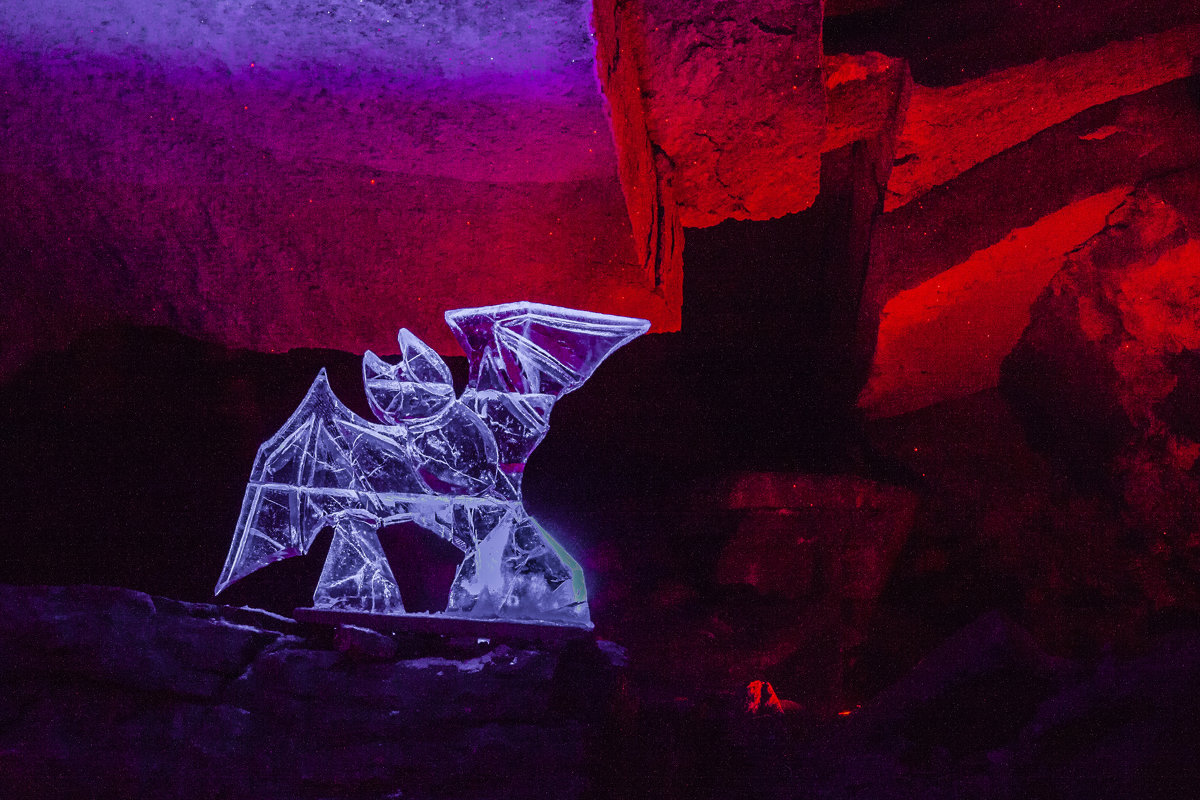 Летучия мышь в Кунгурских пещерах - Александр Ефименко