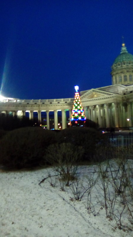 Новогодняя елка у стен Казанского собора! - Светлана Калмыкова