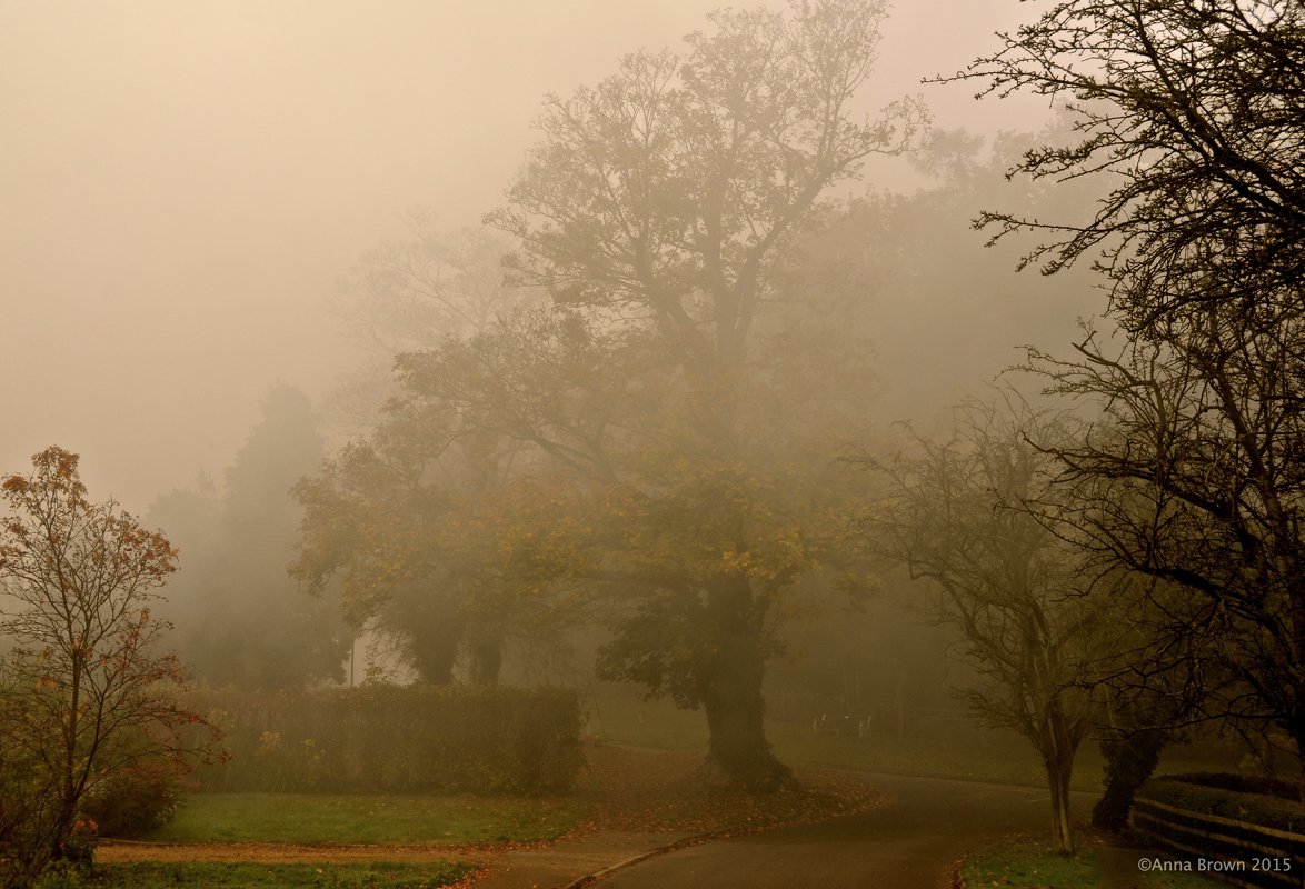 Осень в тумане - Анна Браун 