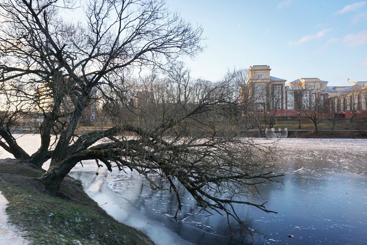 Природа, фотосъемка. Калининград. Нижнее озеро. - Murat Bukaev 