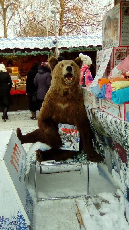 Медведь на ярмарке! - Светлана Калмыкова