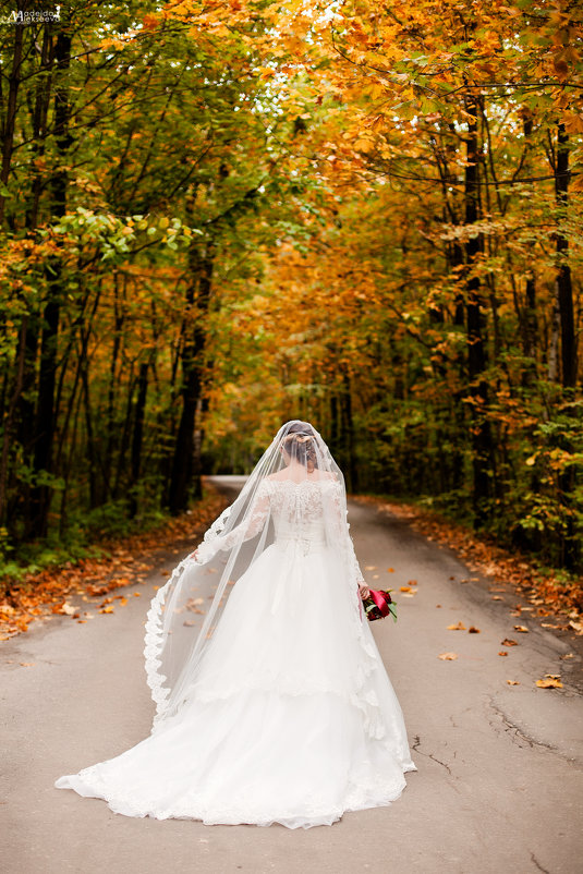 Осенняя свадьба - Надежда Алексеева
