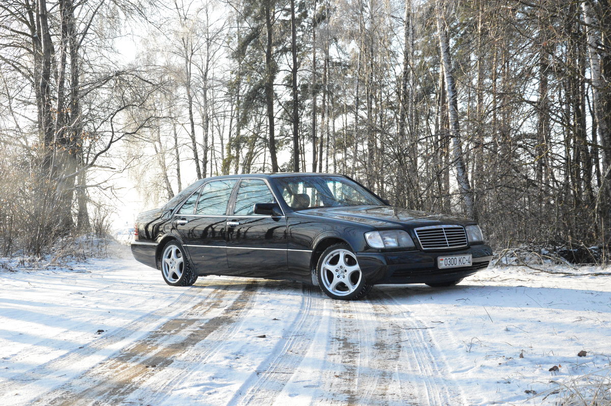 w140 - Ольга Кирьяшева