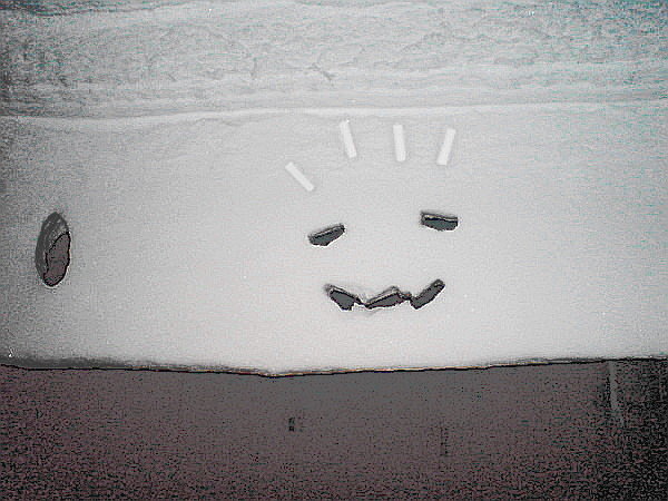 улыбка зимы - Виктор Никитенко