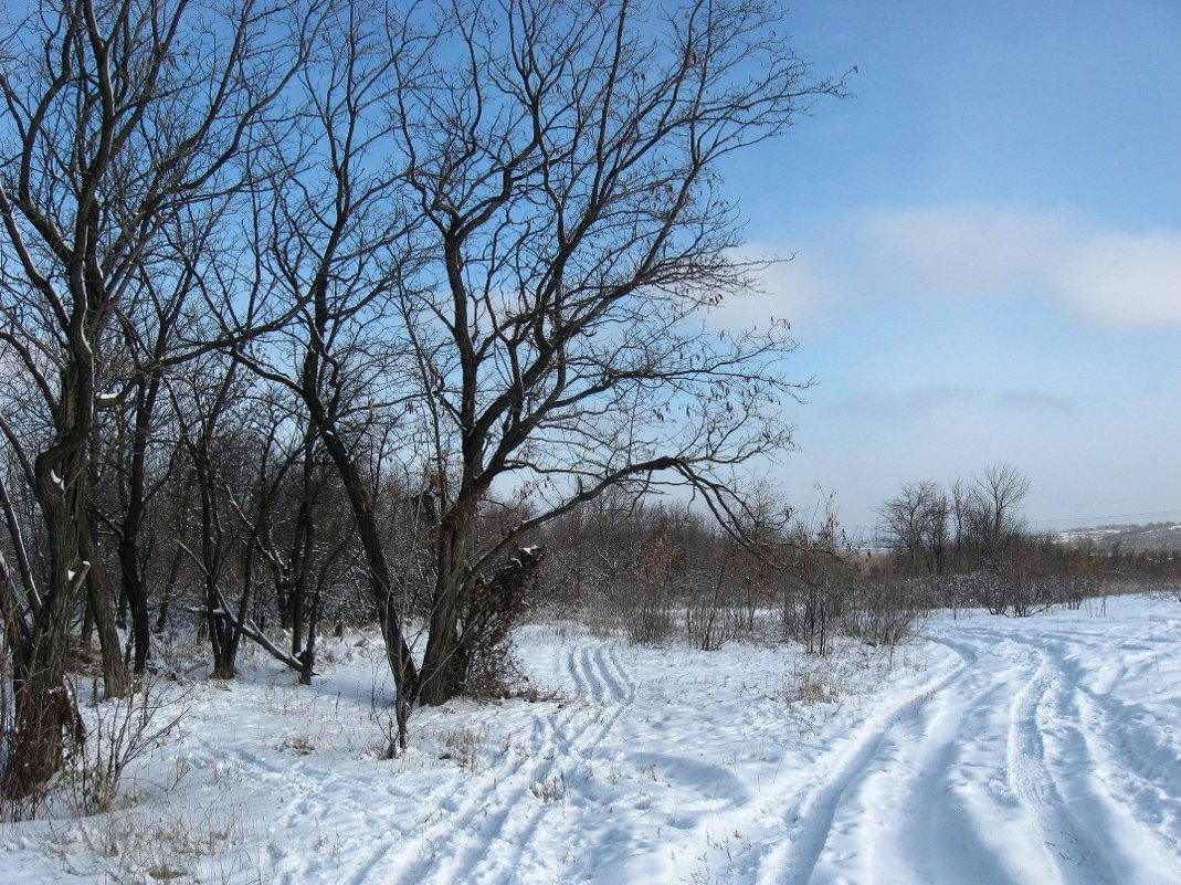 Зимние прогулки 2 - Natali 