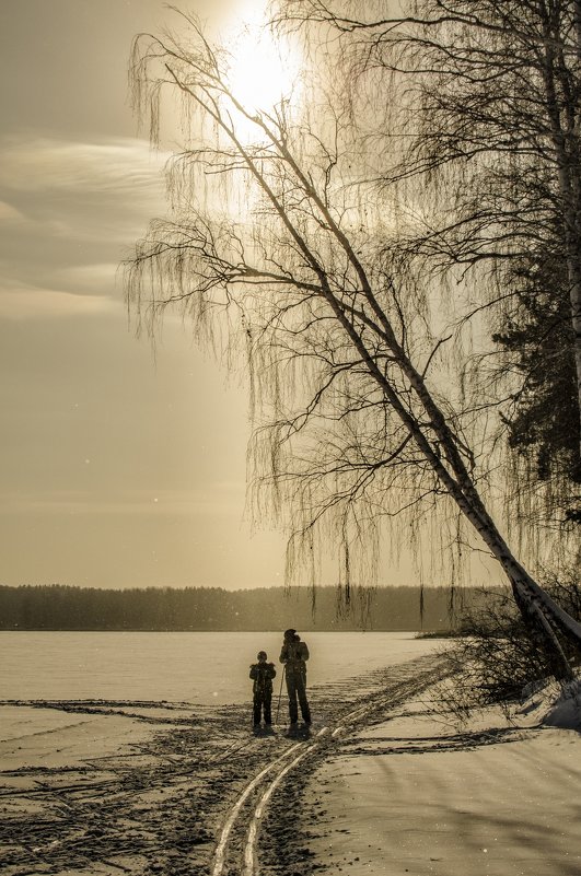 Winter sun - Dmitry Ozersky