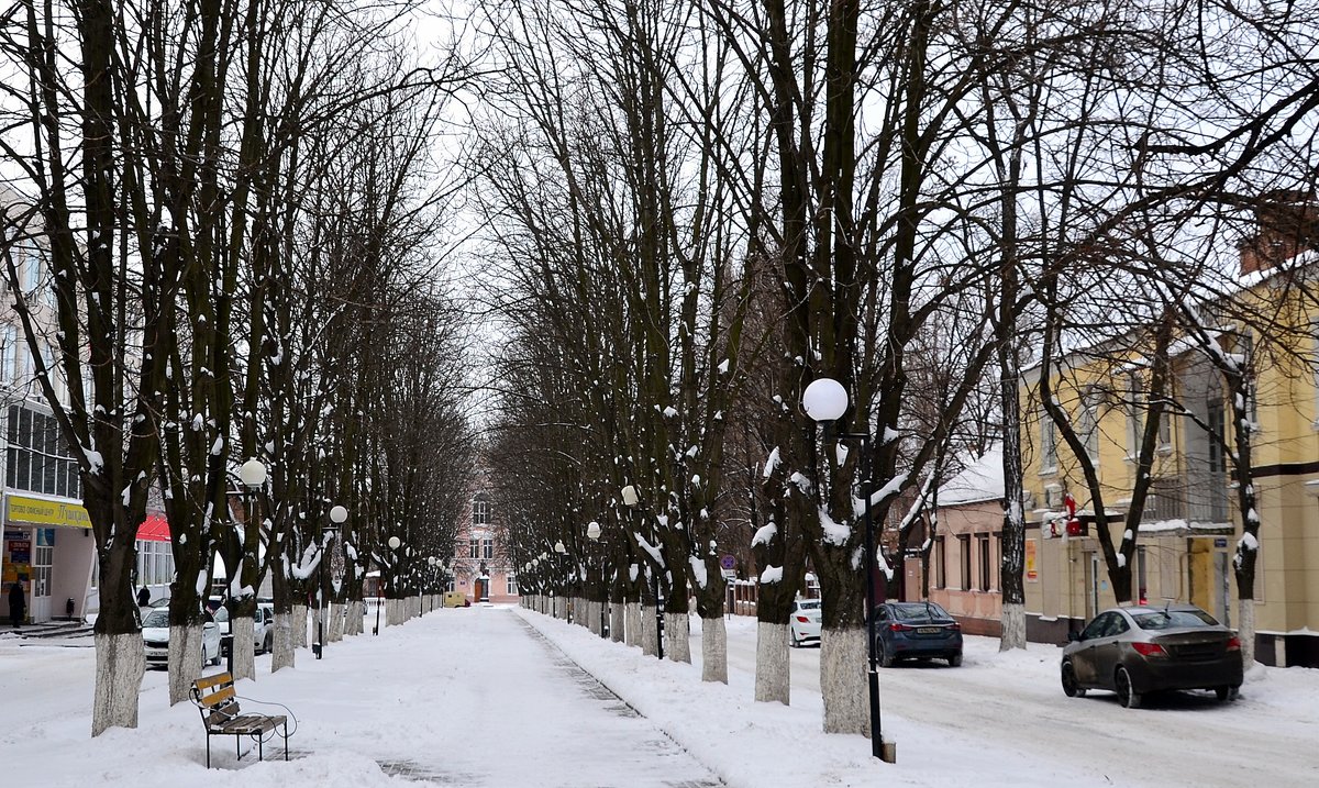 Зима в городе - Владимир Болдырев