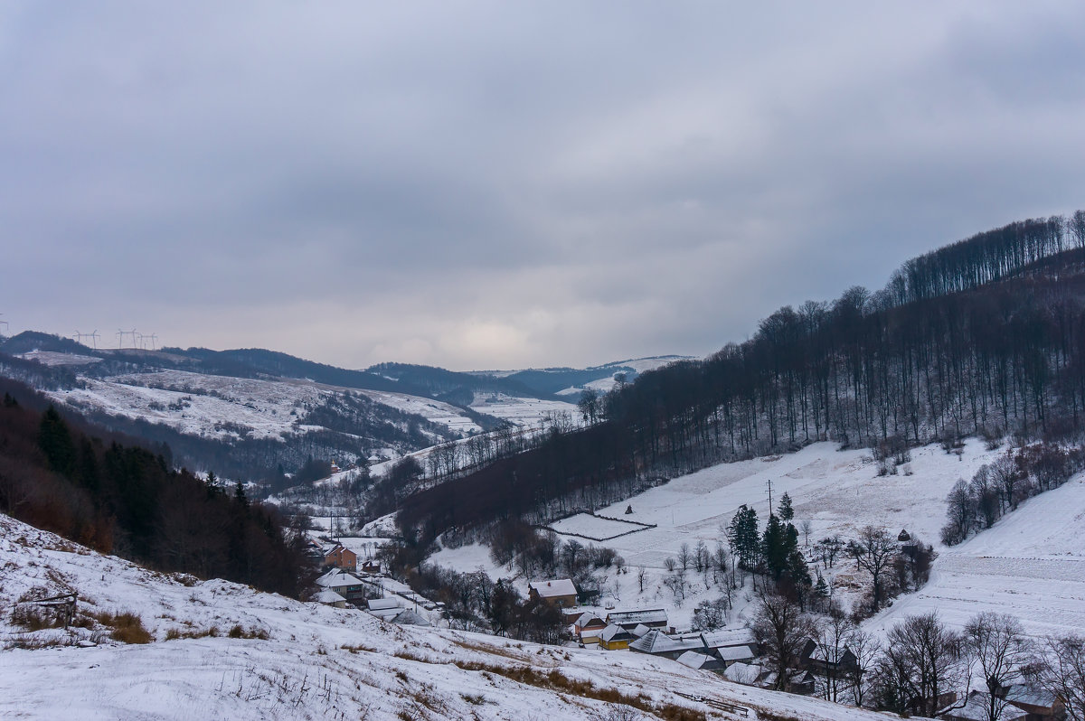 Украина,Закарпатье,Карпаты,горы,зима - Сергей Форос