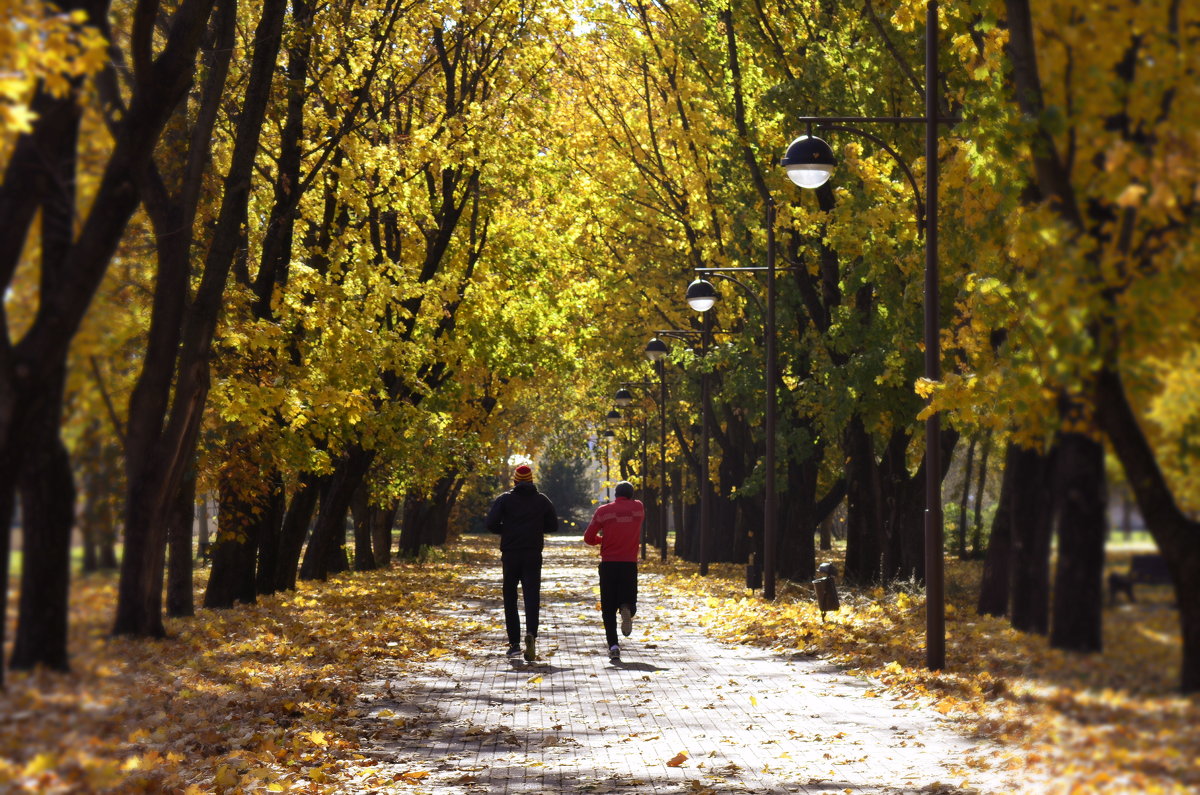 Осенняя пробежка в парке - Юлия Жогина