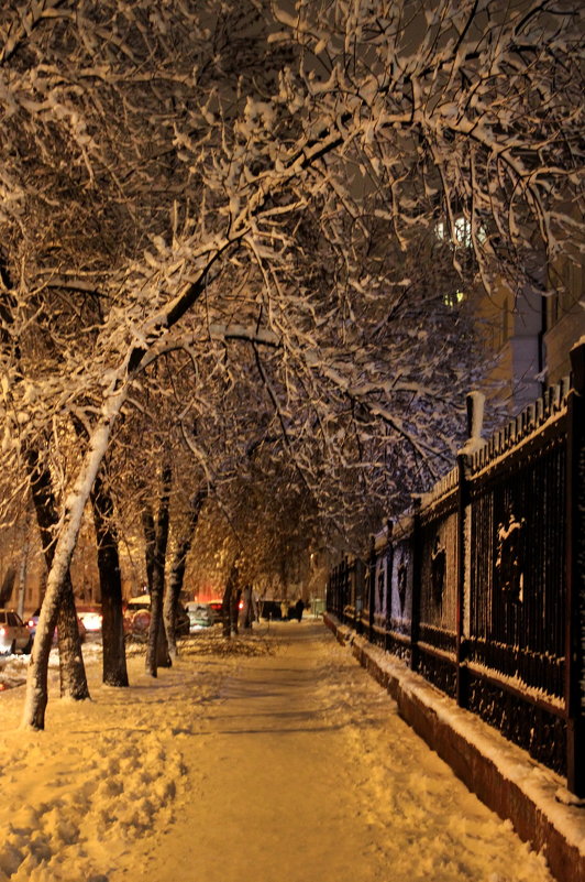 Зима - Андрей Хомяков
