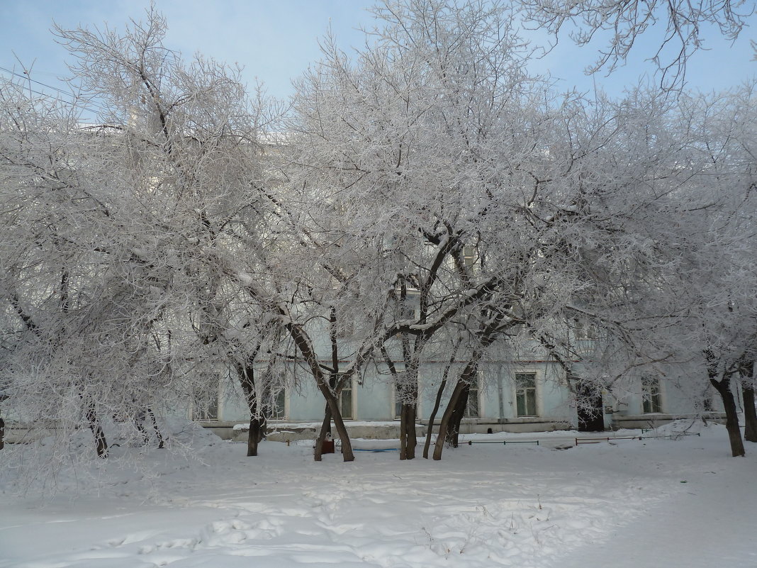 Зима в городе - Галина Минчук