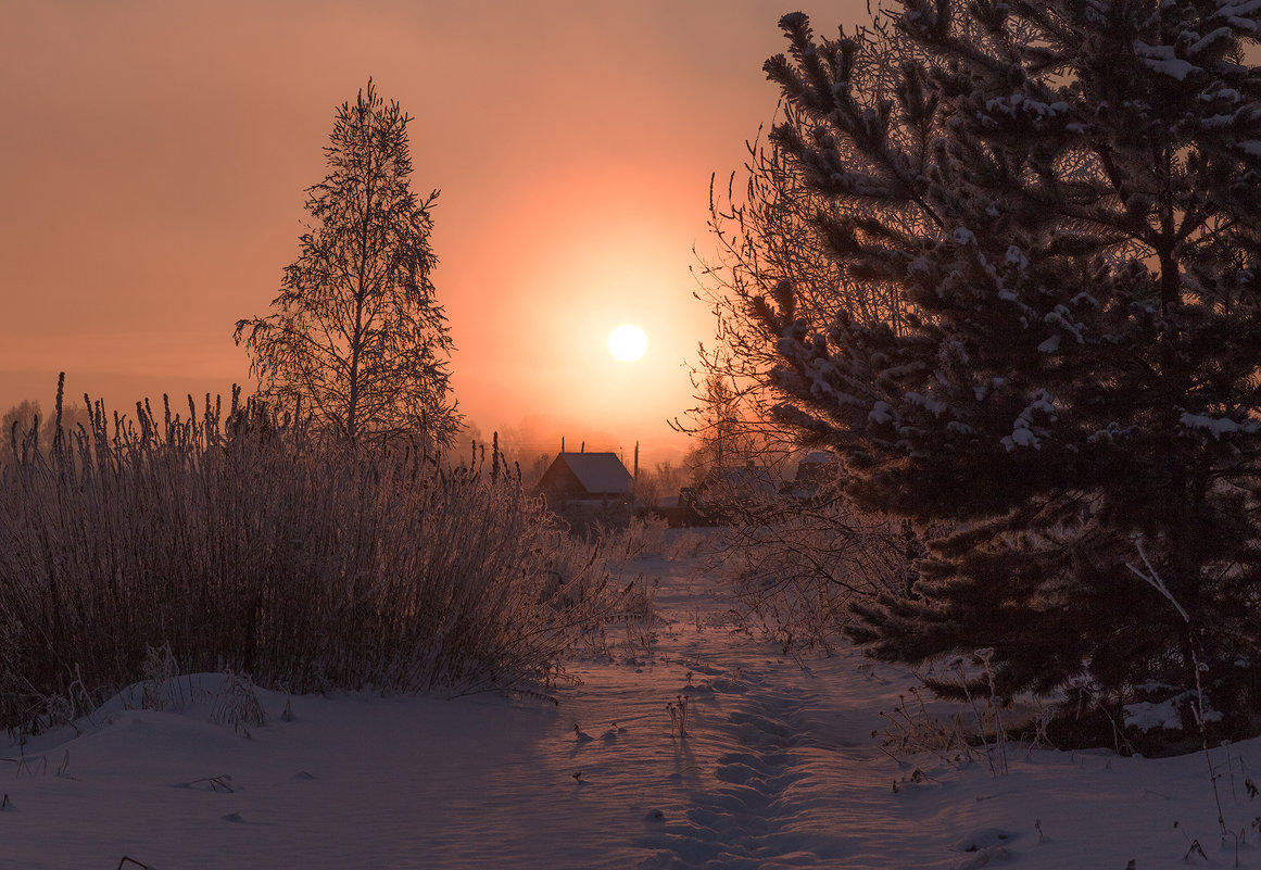 теплый закат морозного дня - Дамир Белоколенко