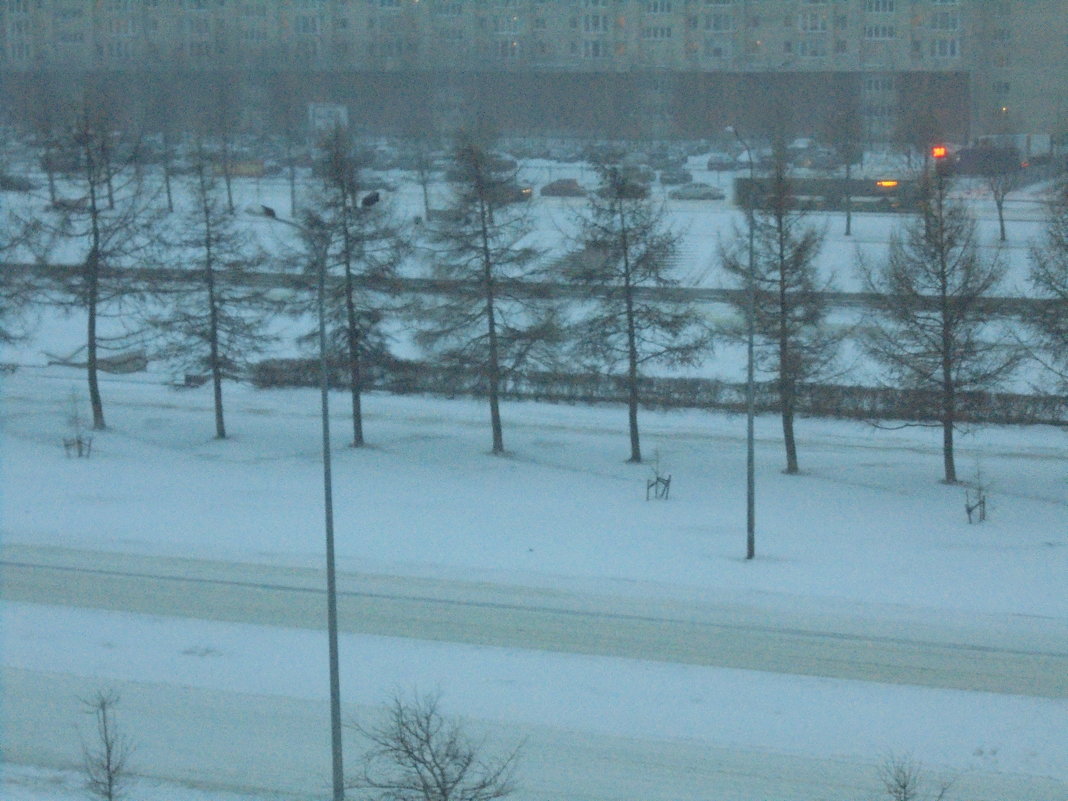 Снегопад в Петербурге - ДС 13 Митя