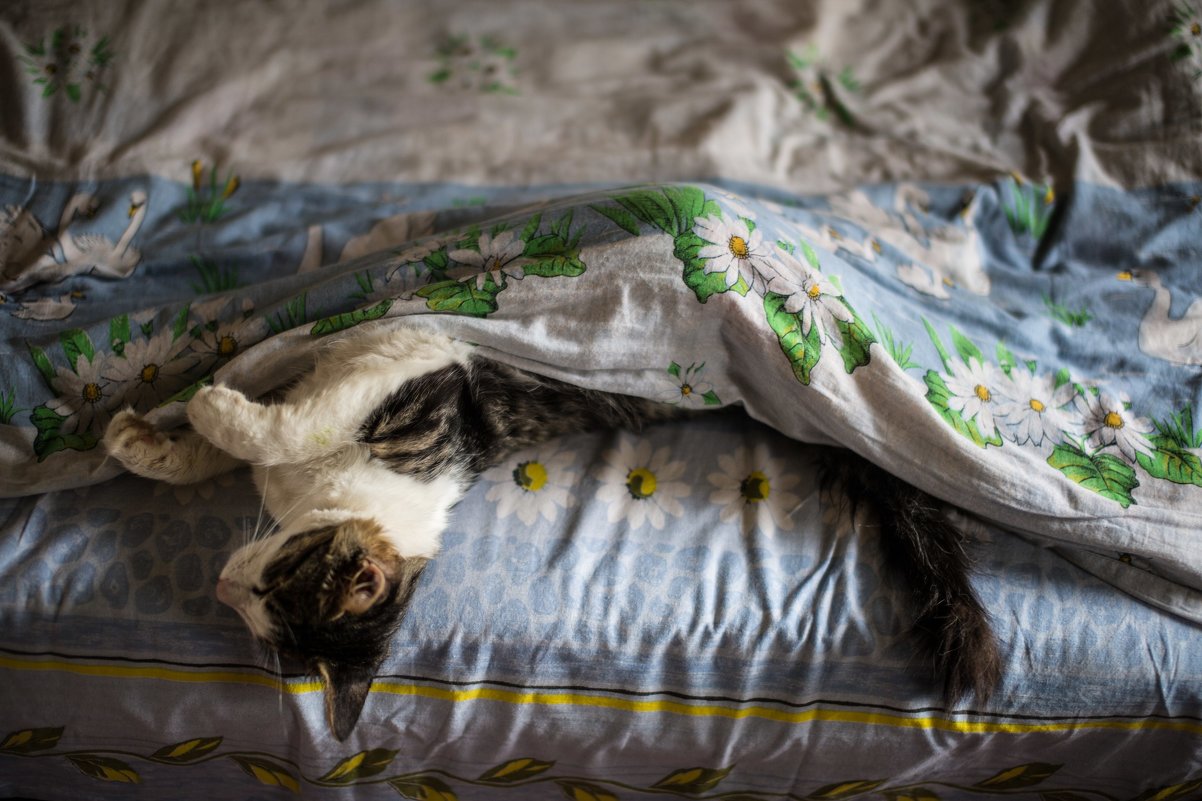 Как хочется спать - Galya Chikunova