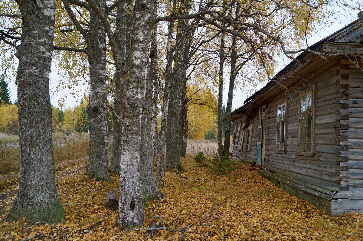 осень - Наталья Зимирева