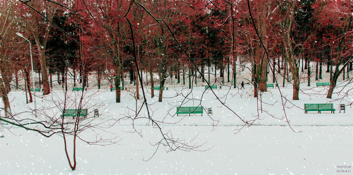 Парк в снегу. - Ольга Назаренко