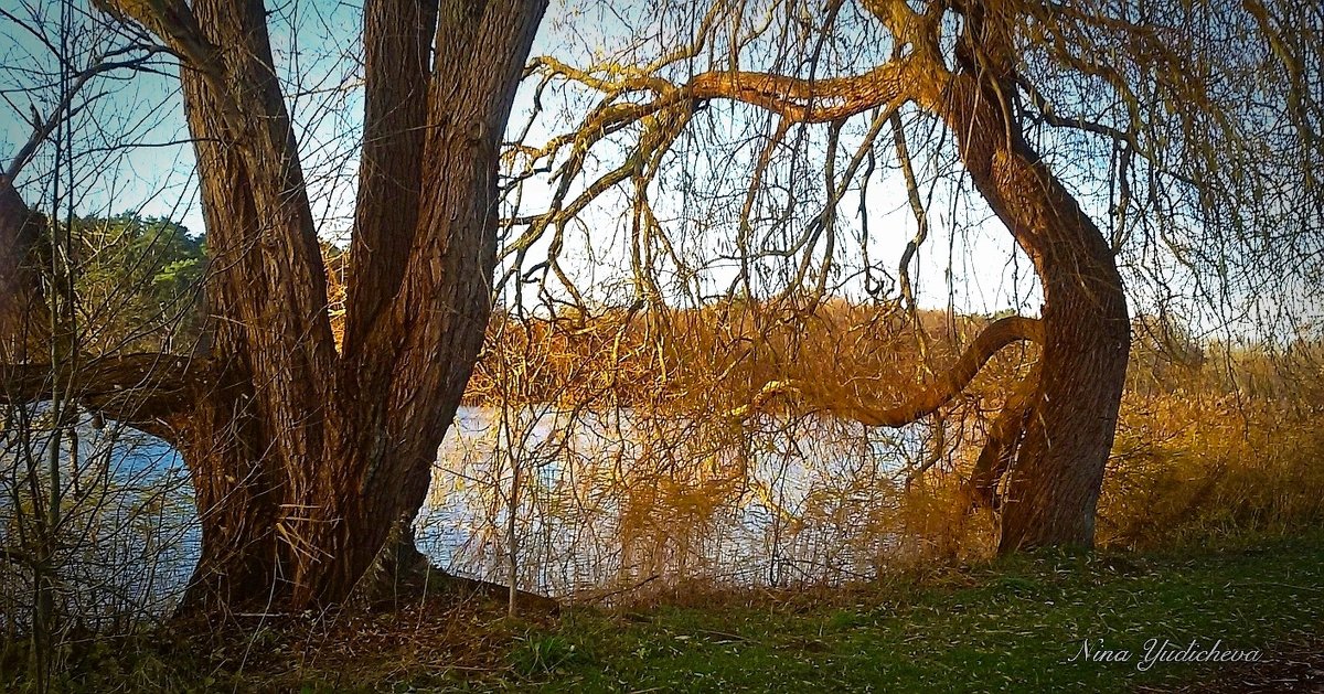 Hamburg. Aussenmühlenteich - Nina Yudicheva