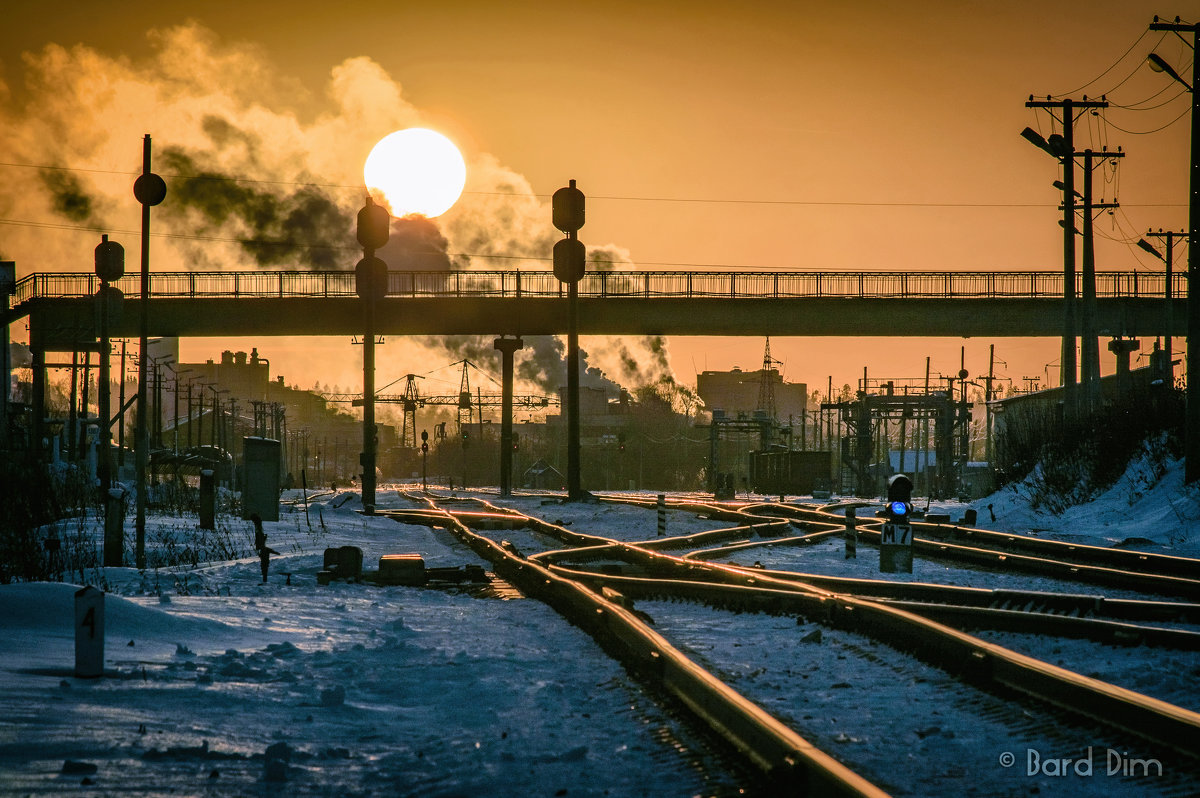 Солнце над железной дорогой - Дмитрий Стёпин