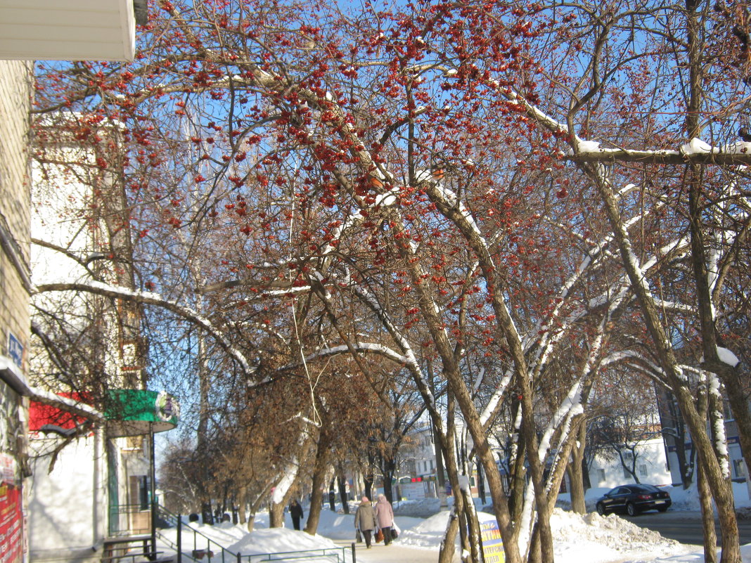 Зима в городе - Алена 