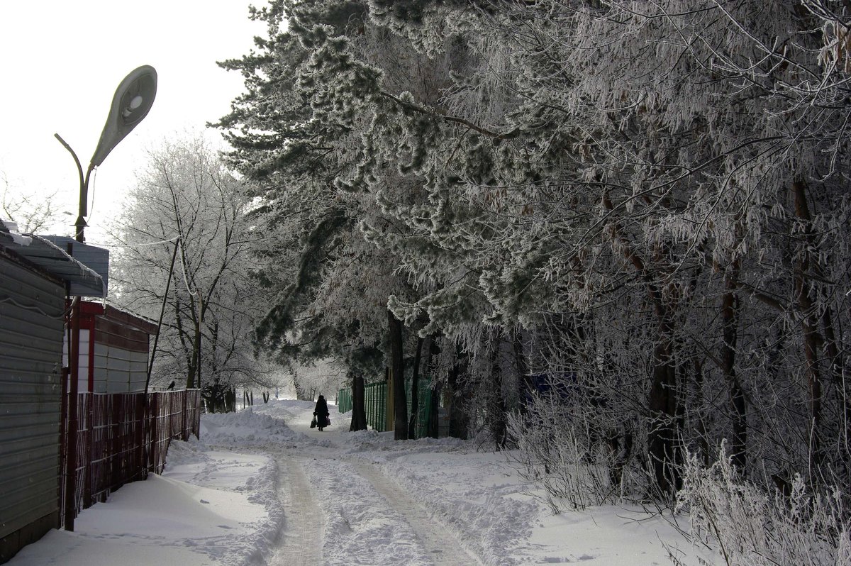 16.01.2016 Зимушка - Юрий Рачек