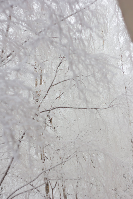 Зима в Питере - Юля Шрамм