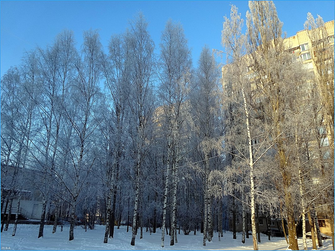 Красавица зима - Вера 