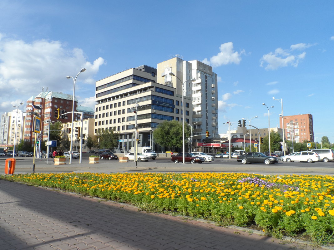 Бизнес центр на фоне перекрестка с цветами - Диана Одинцова