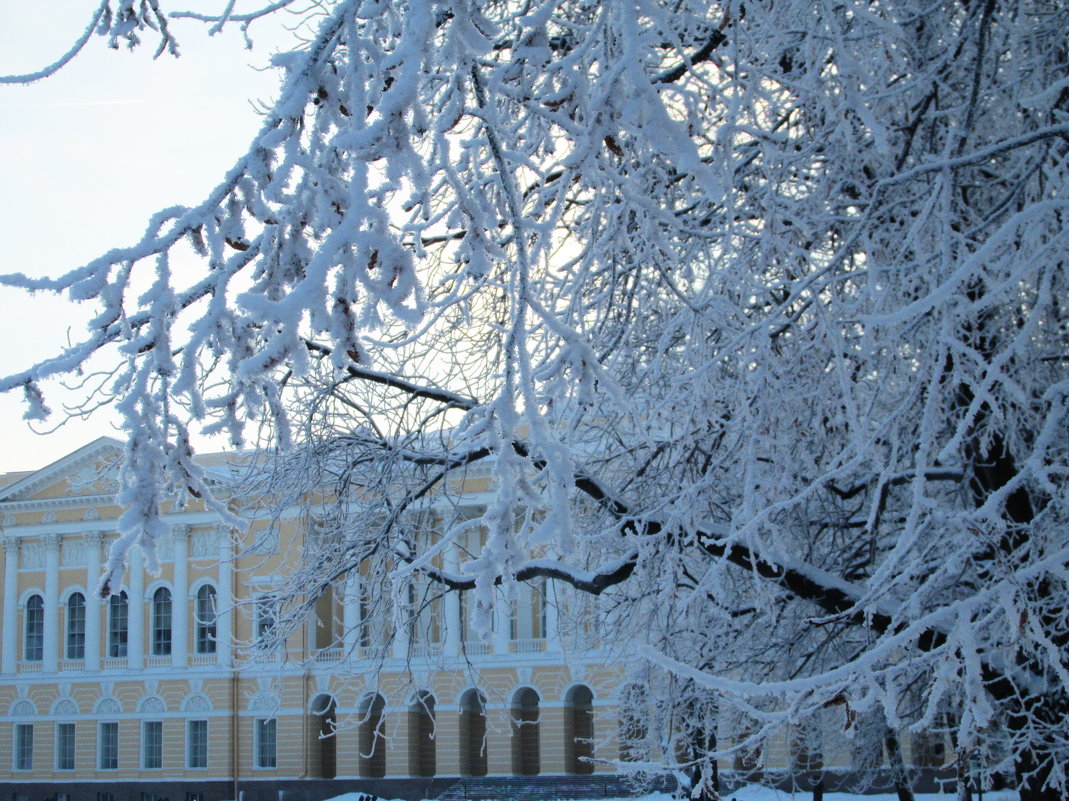 зима михайловский дворец - georg 