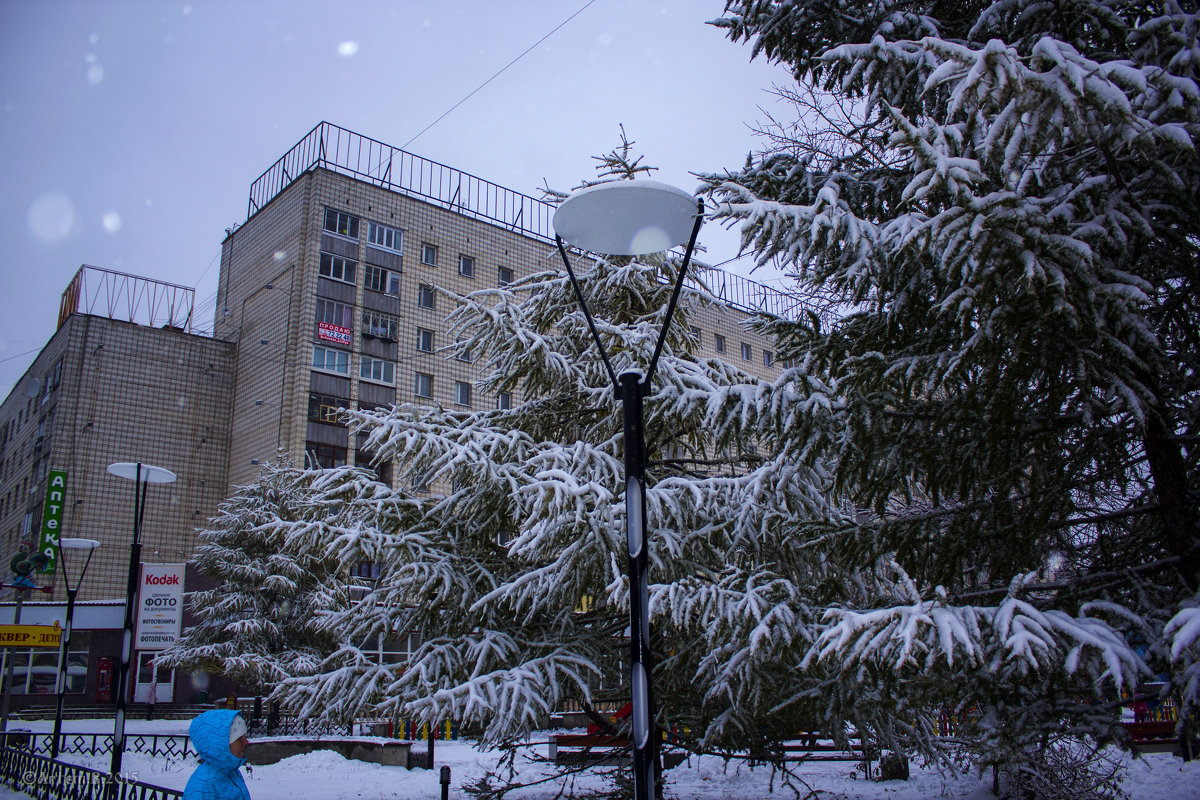 Пушистый снег на ели.2015 - Артём Бояринцев