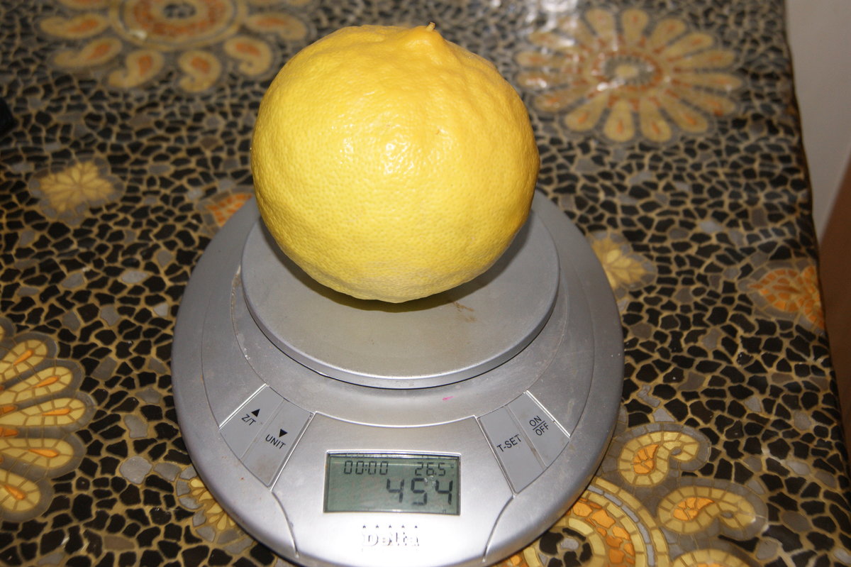 лимон на весах - Николай 