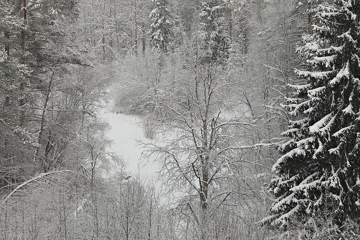 Речка спряталась под снегом - Михаил Лобов (drakonmick)
