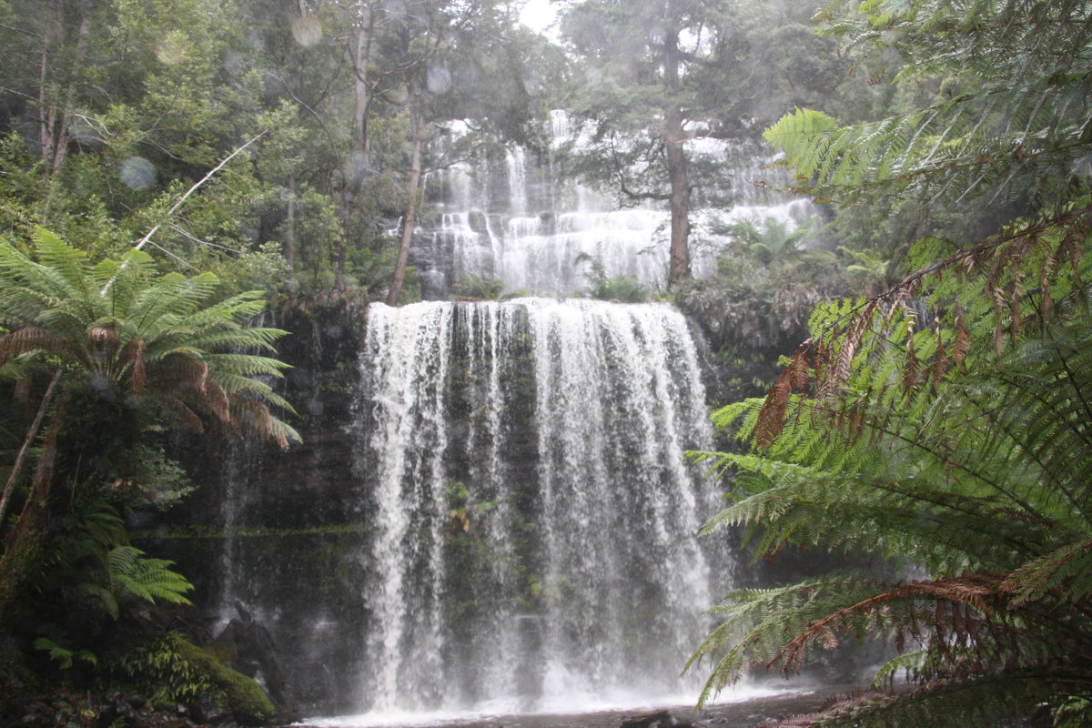 Водопад Расселл, Russell Falls,Тасмания - Антонина 