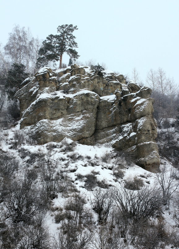 Каменный край - Радмир Арсеньев