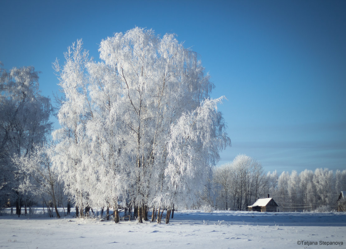 Латвийская зима - Tatjana Stepanova