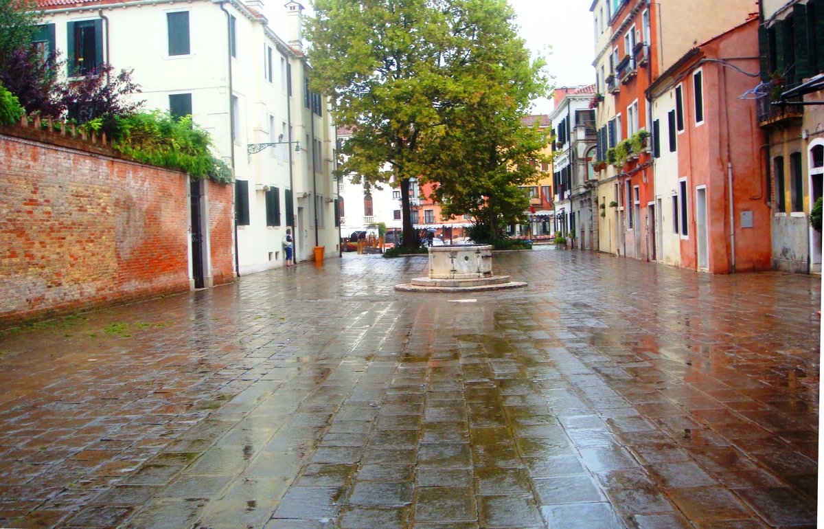 Мокрая Венеция - Плюшевая Пальма